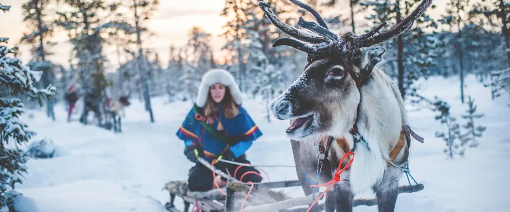 Asaf Kliger | imagebank.sweden.se