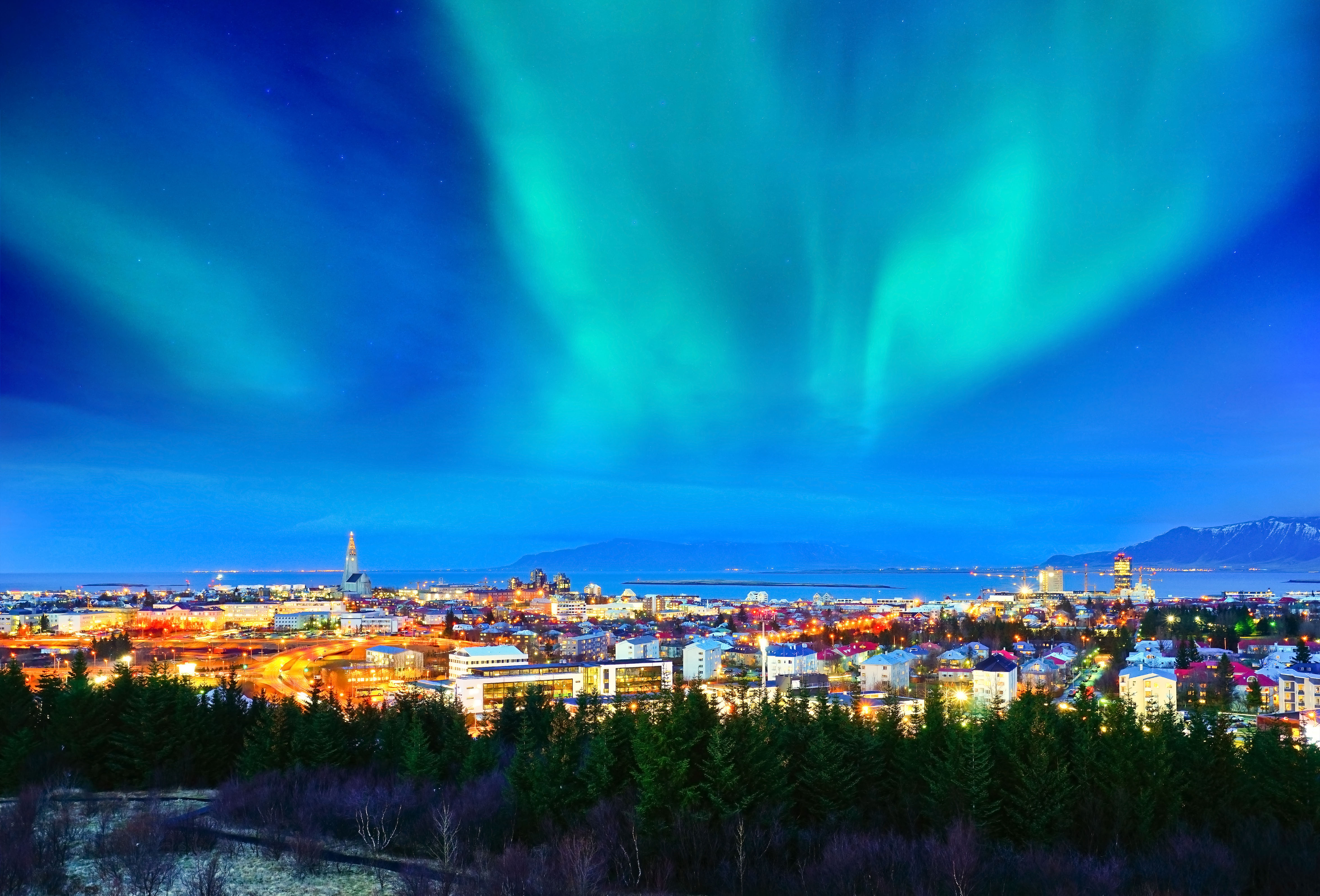 Iceland Reykjavik winter northern lights AdobeStock 264990640