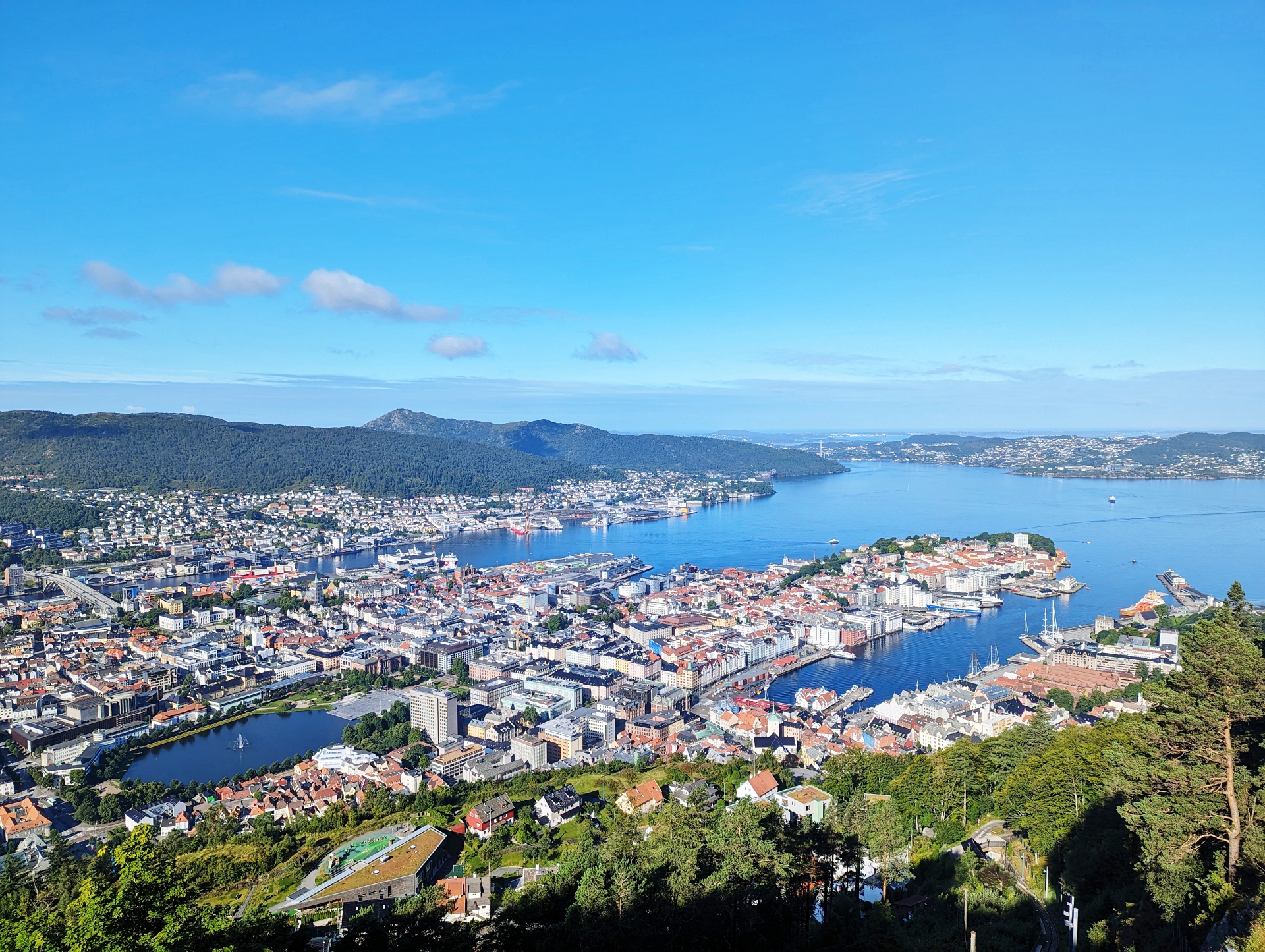 50DN Gemma Norway Bergen PXL 20230811 073125960