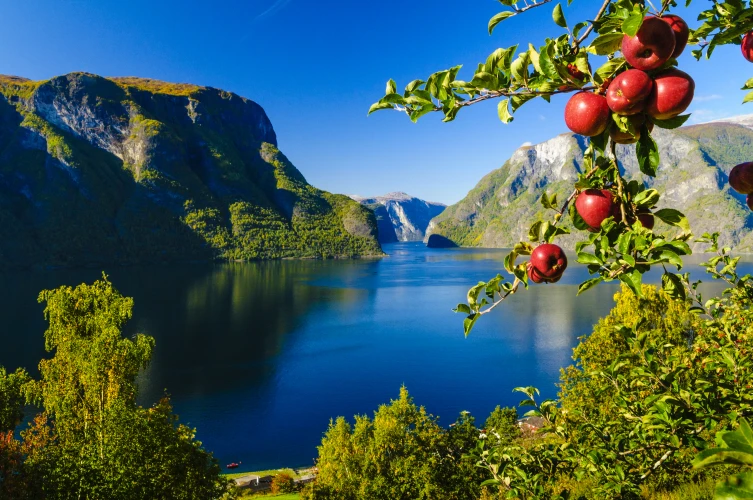 Robin Strand, Visit Norway 