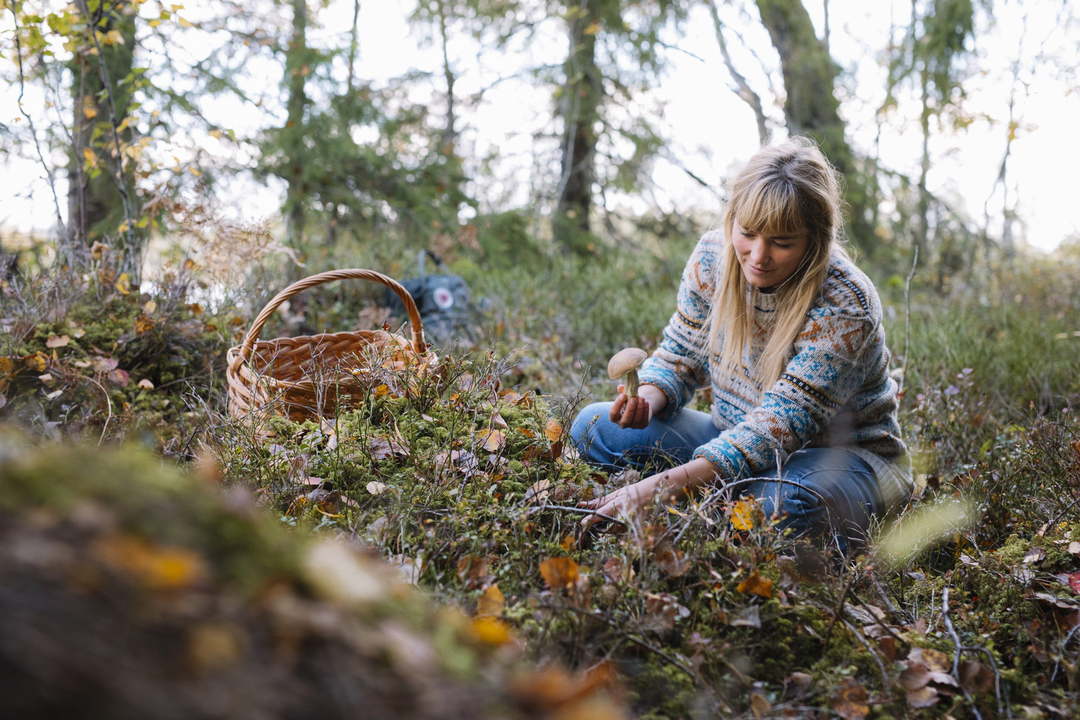 Sweden Berry Picking