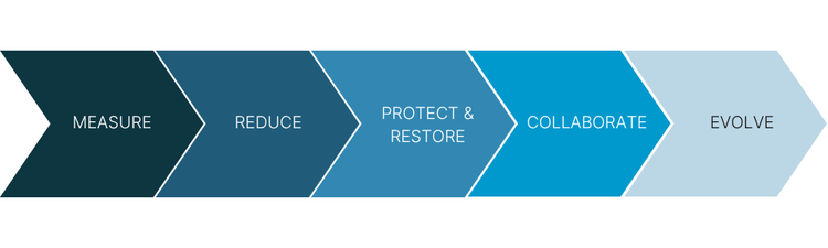 Climate action plan graphic