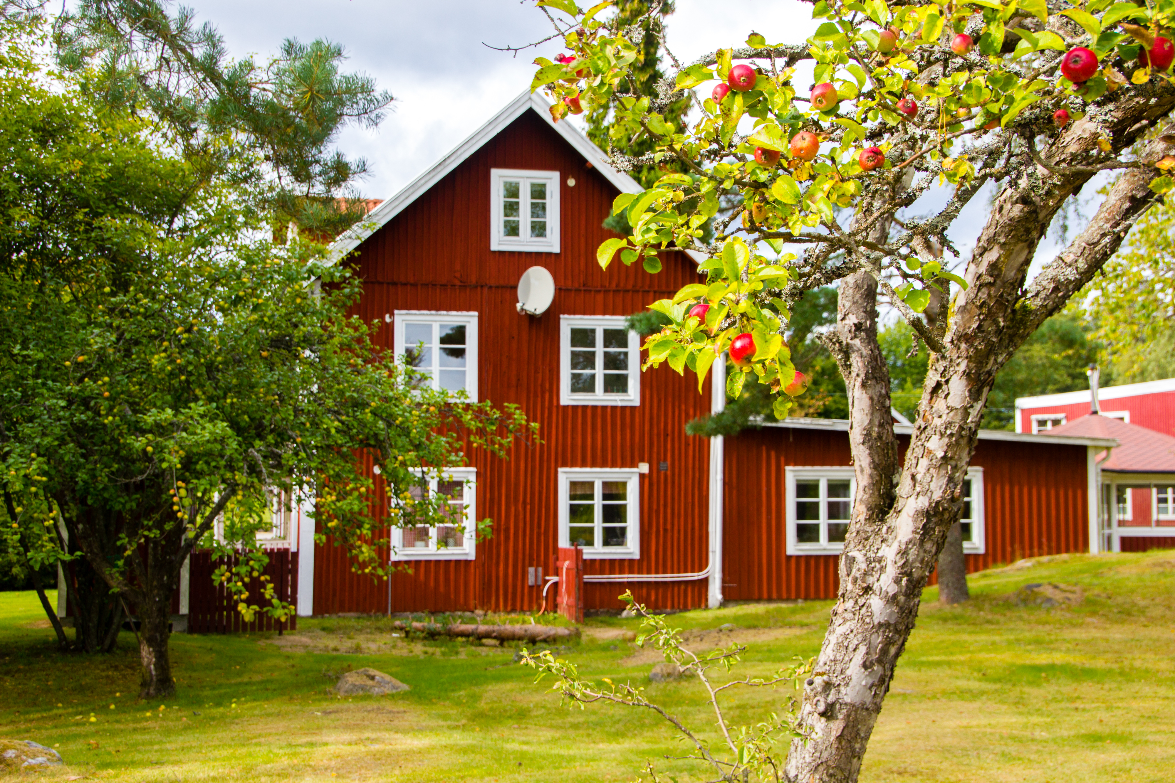 shutterstock 1166494438 sweden house and apples