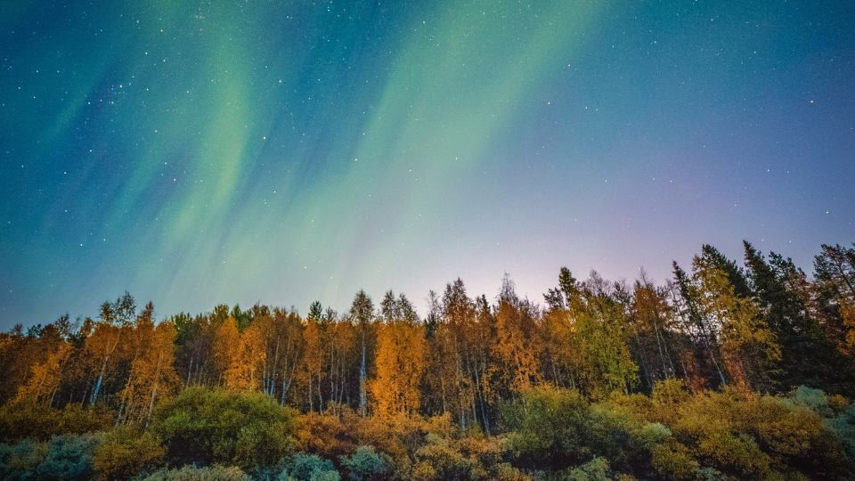 Website - Harriniva autumn - Oct