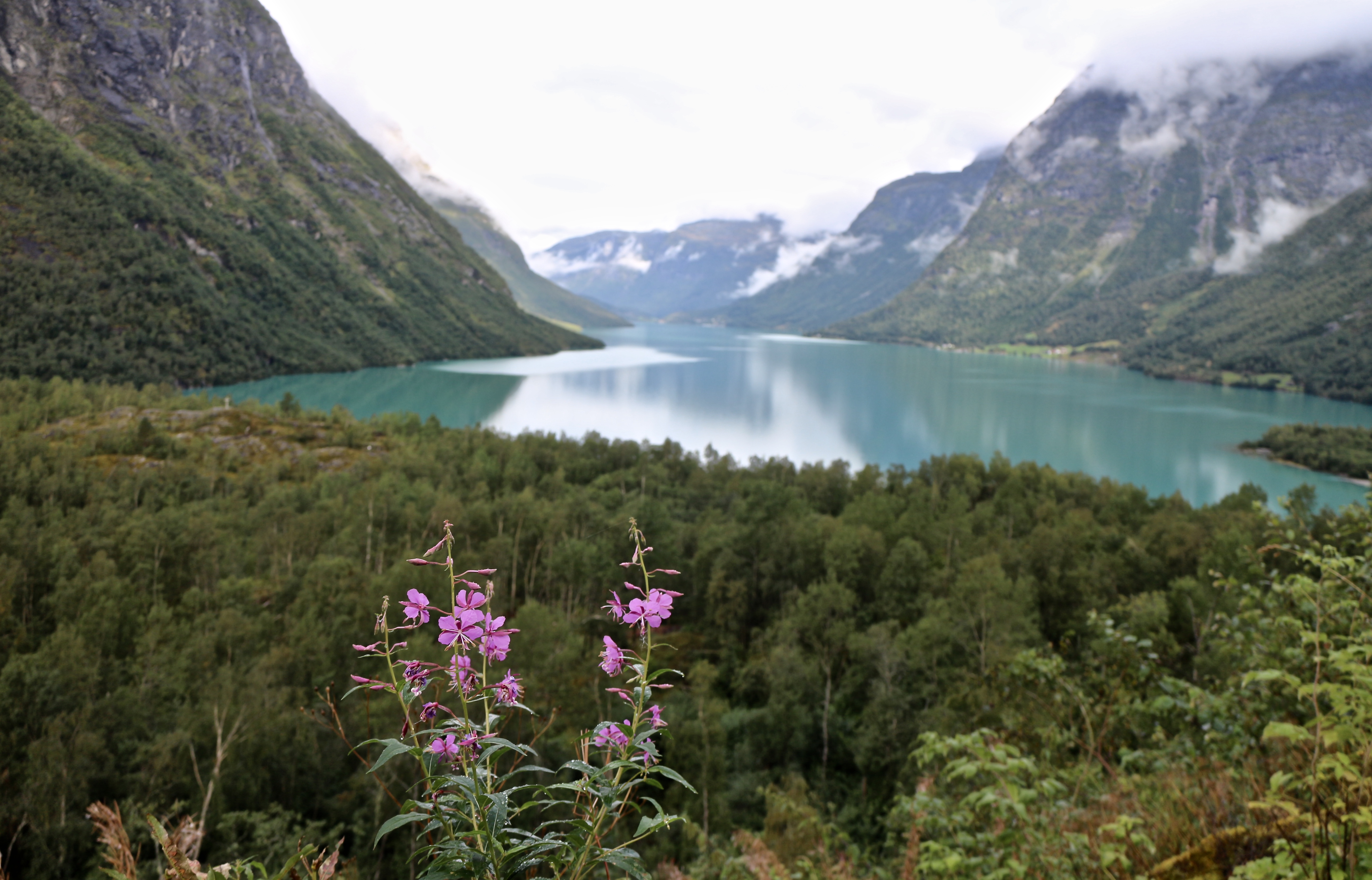 Highlights Of Our Western Fjords Tour Of Norway | 50 Degrees North