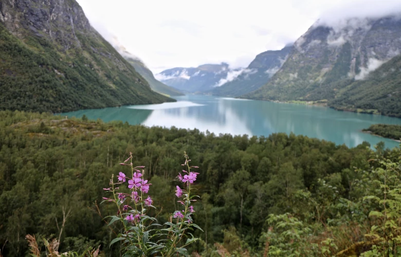 Western Fjords tour