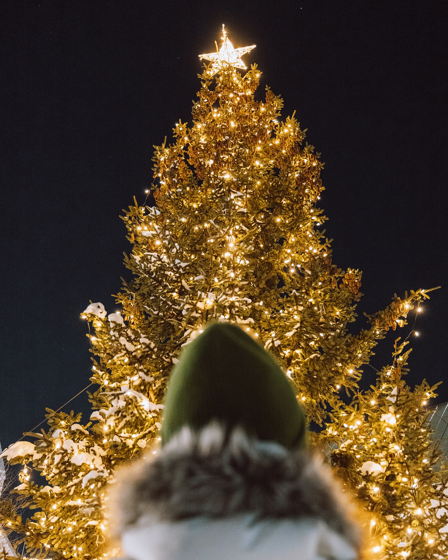 Christmas in Reykjavik tree - photo by Visit Reykjavik