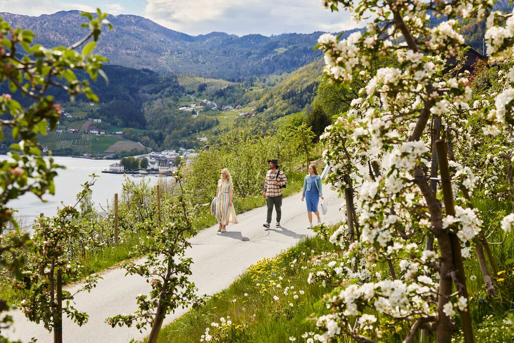 Visit Hardangerfjord - Øystein G. Haara