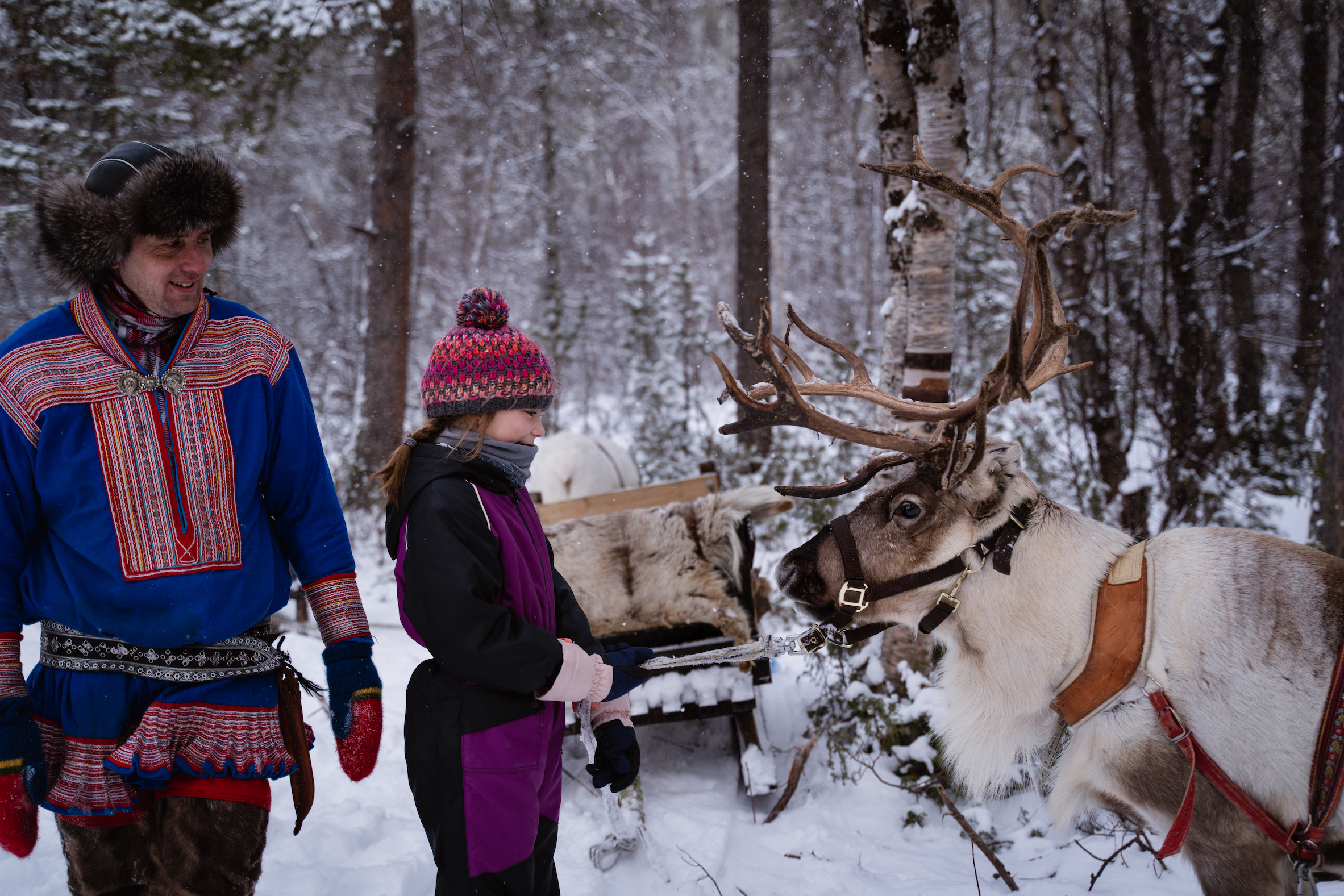Sorrisniva The Global Wizards Sami Reindeer Experience 2