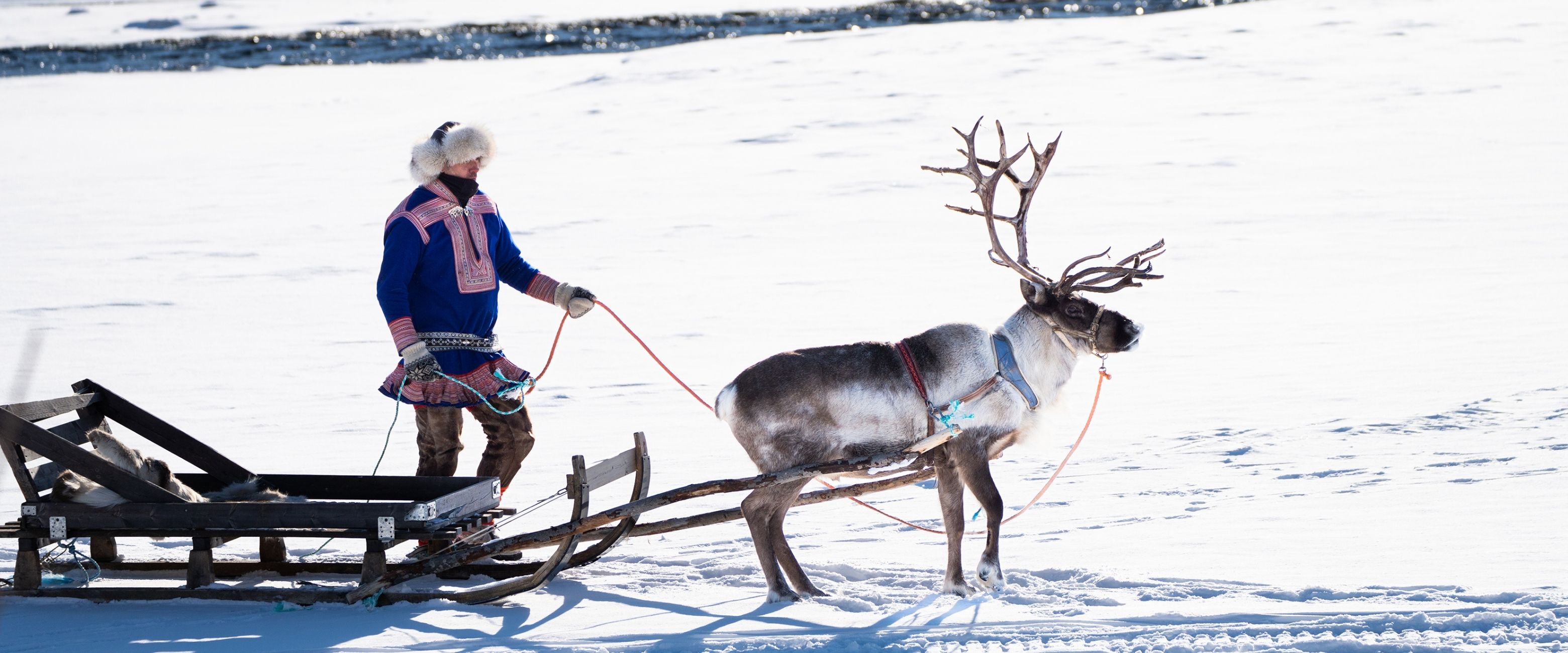 Website banner - Alta Sami - Reindeer sledding credit Katelin - Sorrisniva