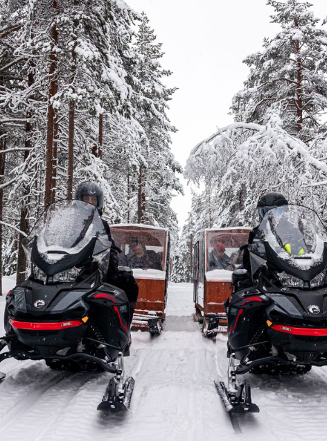 Optional Activities at the Arctic Treehouse Hotel