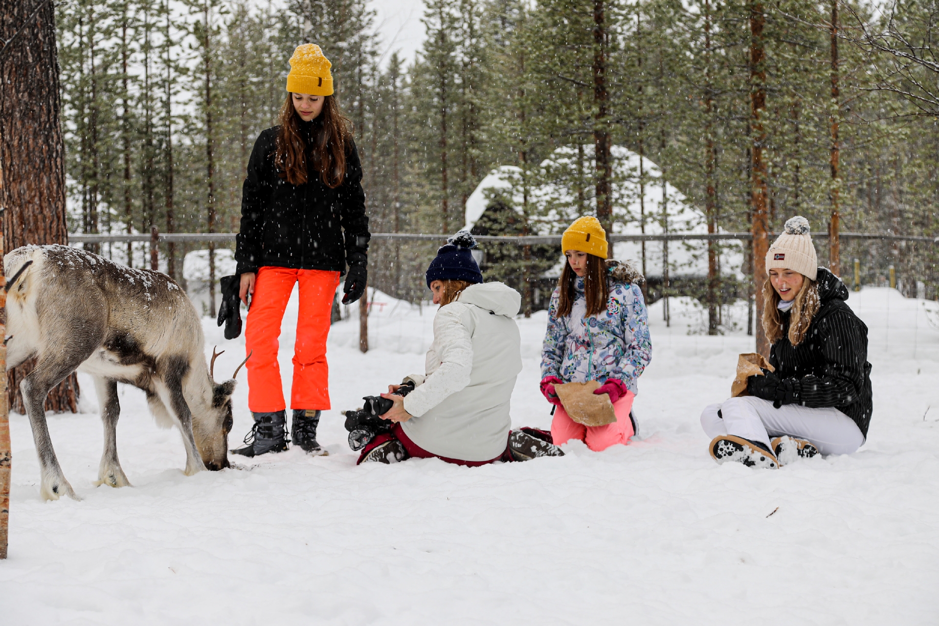 AVI reindeer feeding kids A20A8495 - Credit Aurora Village Ivalo web