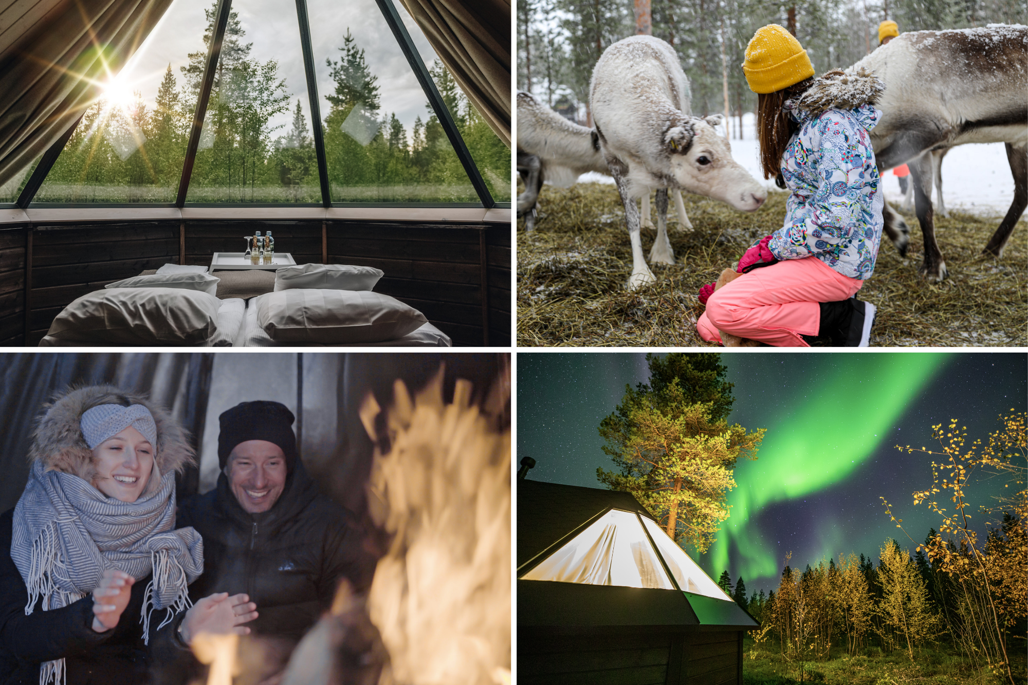 Northern Lights in Autumn at the Aurora Village