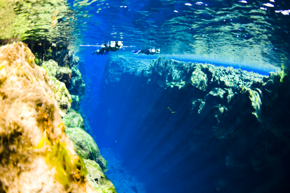 Snorkeling in Silfra