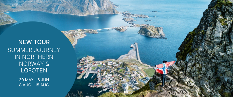 Newsletter-asset-headline-content-block-50DN summer-journey-lofoten-norway (1)