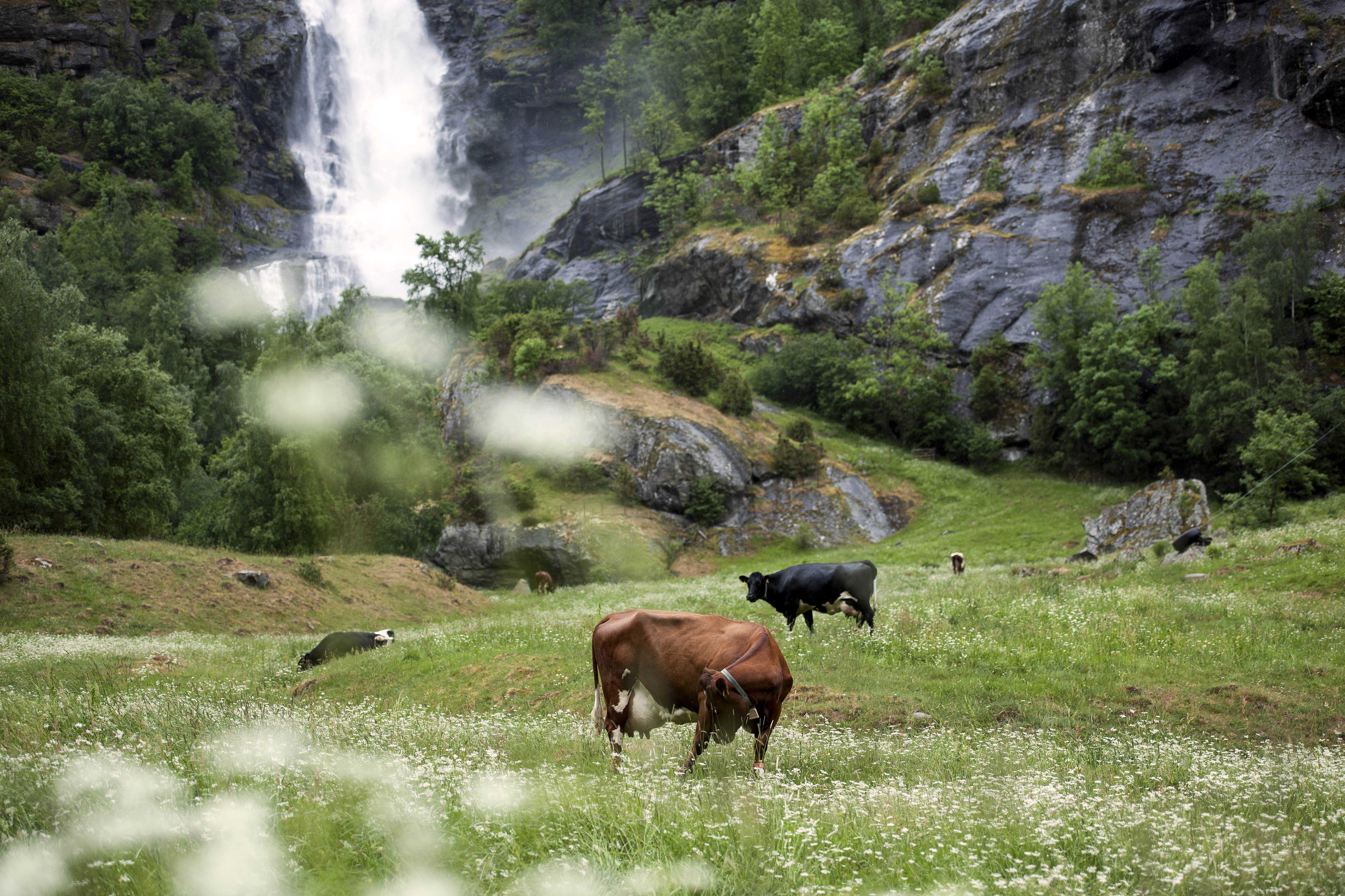 Aurland tours Norway