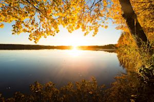Glass Igloos and Rovanieimi Vacation this Autumn | 50 Degrees North