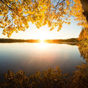 Ruska Rovaniemi Glass Igloos and Rovanieimi Vacation this Autumn | 50 Degrees North