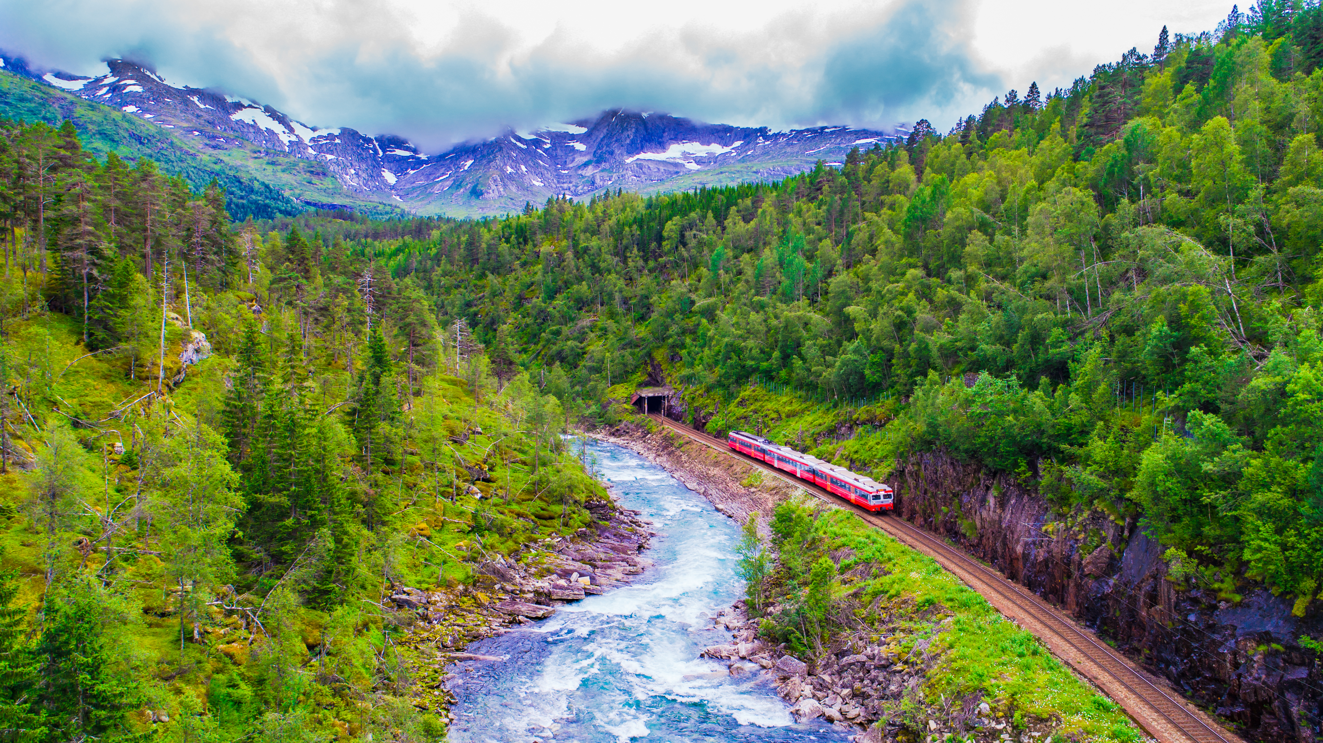 Norway in a Nutshell Train 