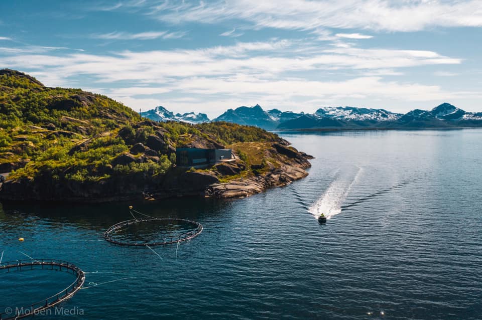 Arctic Salmon Centre