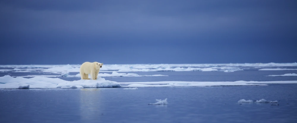 svalbard tours october