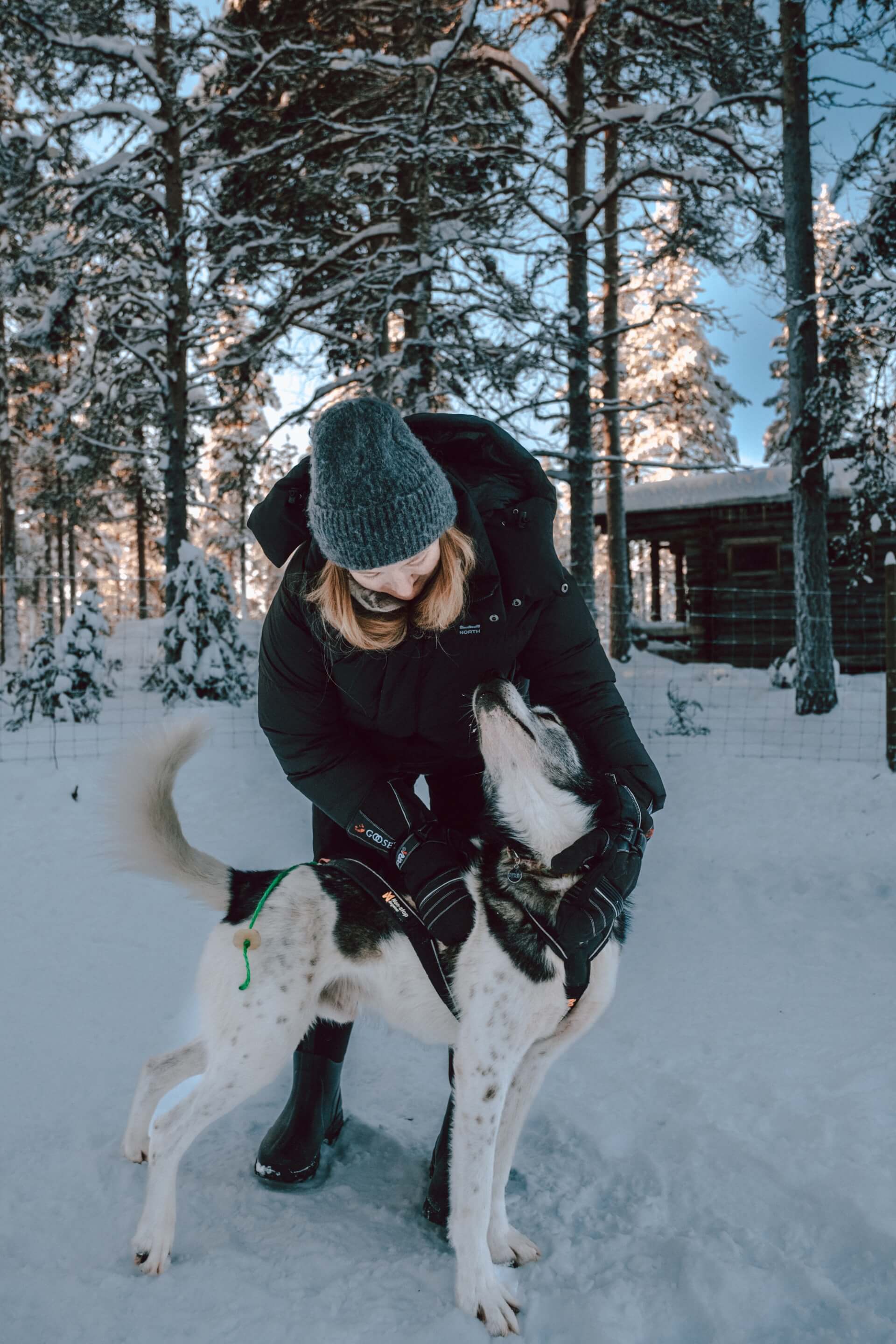 Husky Experience at Northern Lights Village Pyhä