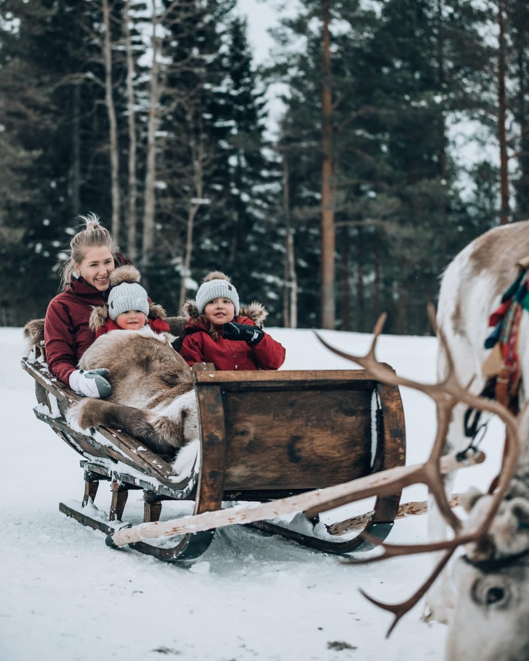 Lapland Christmas Holidays 2024 50 Degrees North