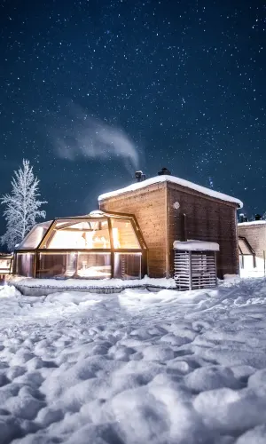 Arctic Fox Cabins