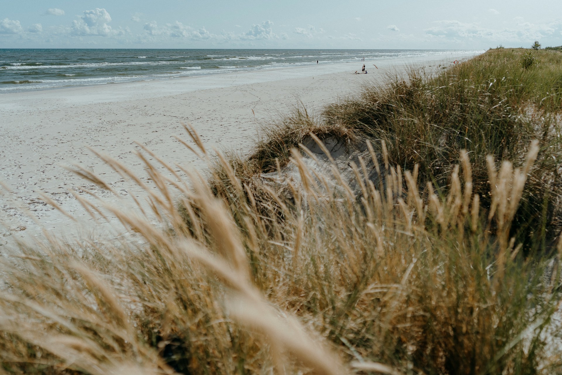 Sweden-Sandhammaren-Österlen-for Wallander-jonas-jacobsson-I-5e-GggWCM-unsplash