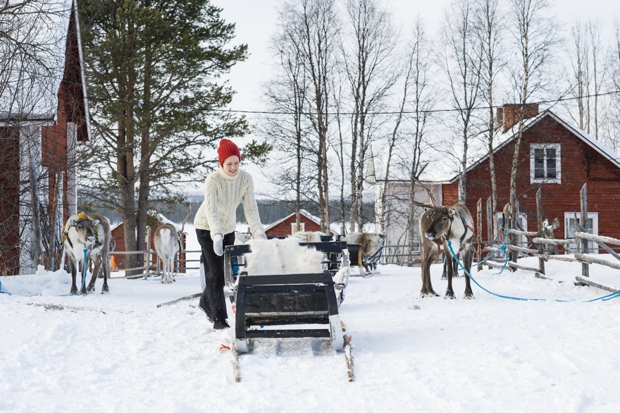 Christmas Vacations In December To Lapland 2024 Scandinavia And Finland   Christmas