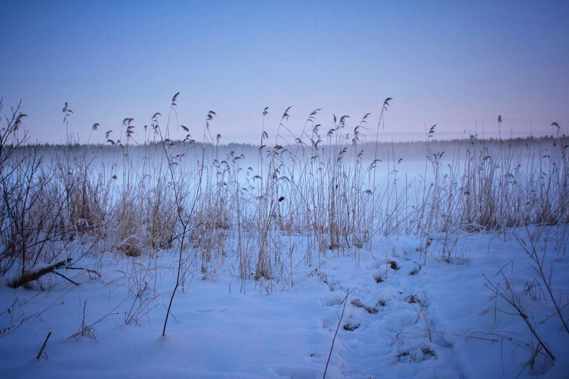 Finland-Saimaa-winter-for Bordertown-k8-UDvkWaK5ziY-unsplash