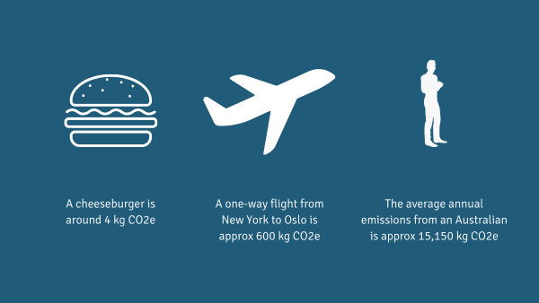 Web-carbon-footprint-examples (1)