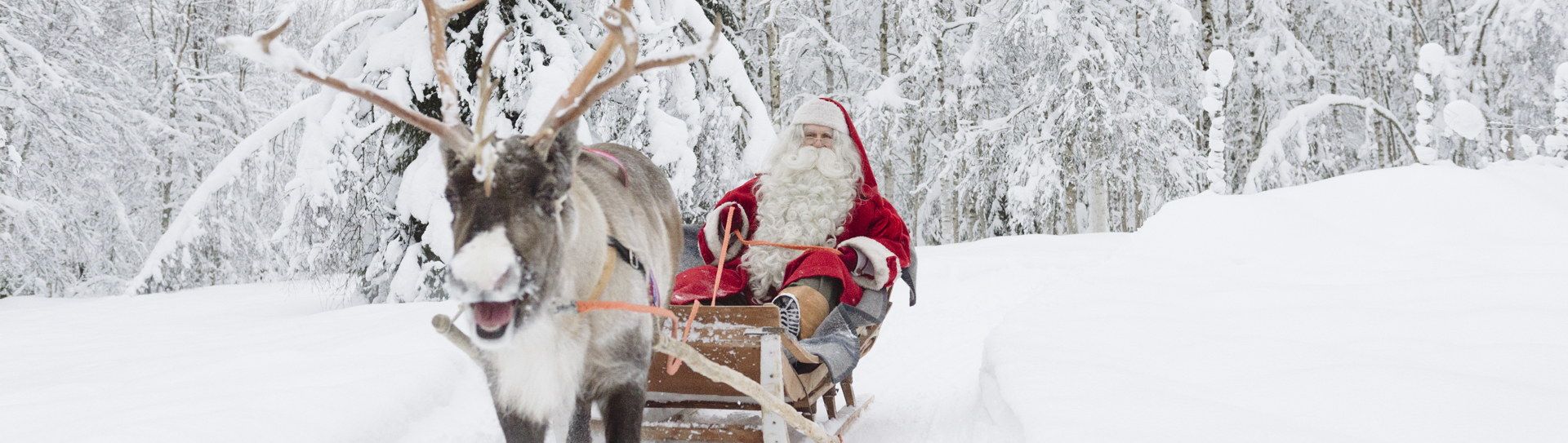 All Inclusive Christmas 2022 In Lapland With Santa Escorted Lapland Christmas Tours 2022 | 50 Degrees North