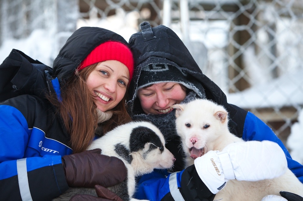 Husky Safari Finland