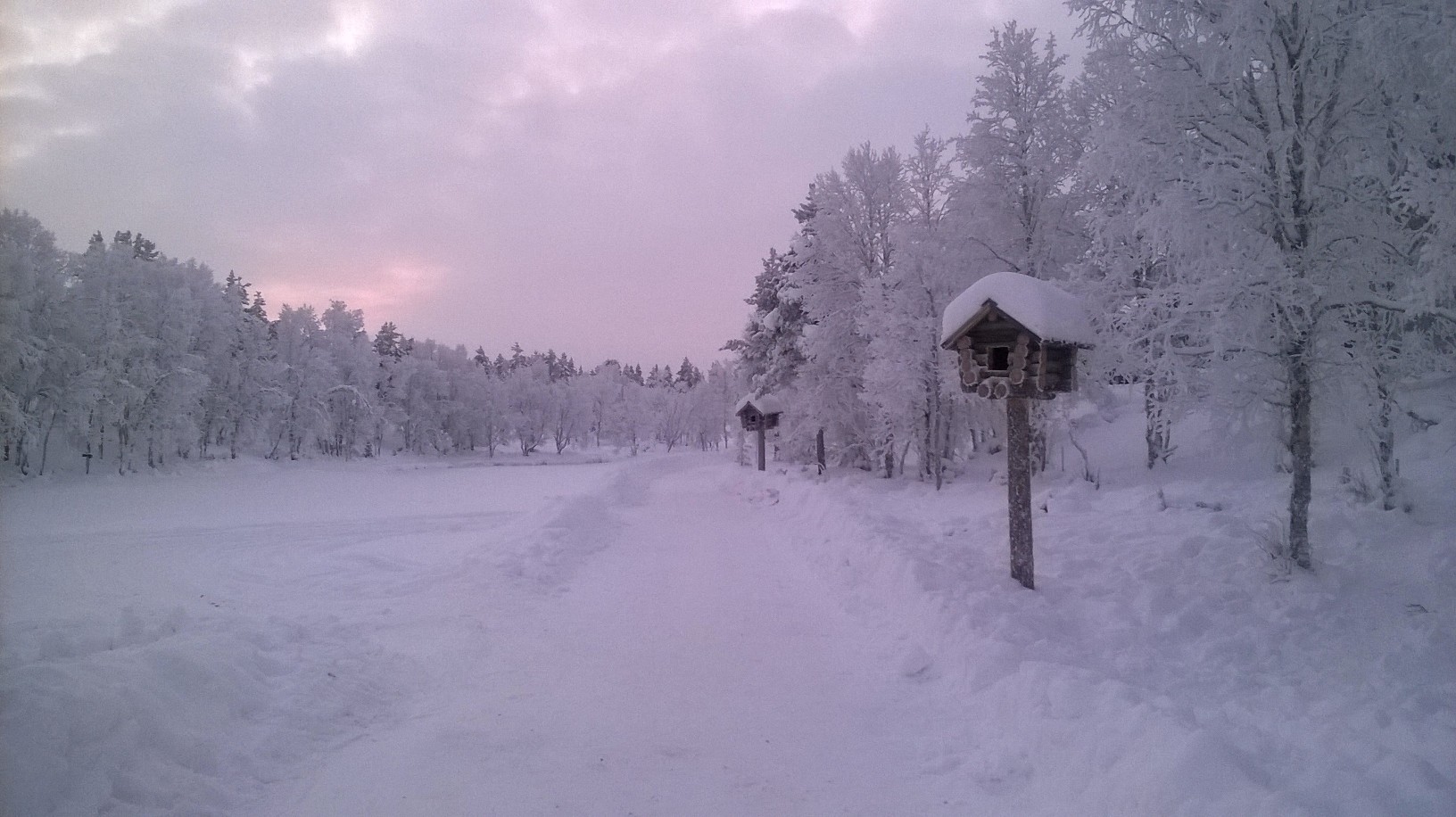 Travelling in the Nordic Midwinter - what to expect | 50 Degrees North