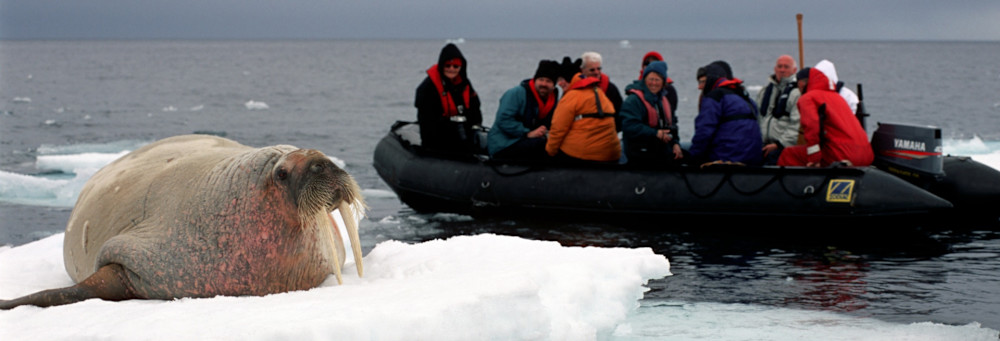 Kvitøya | Svalbard | Norway Arctic