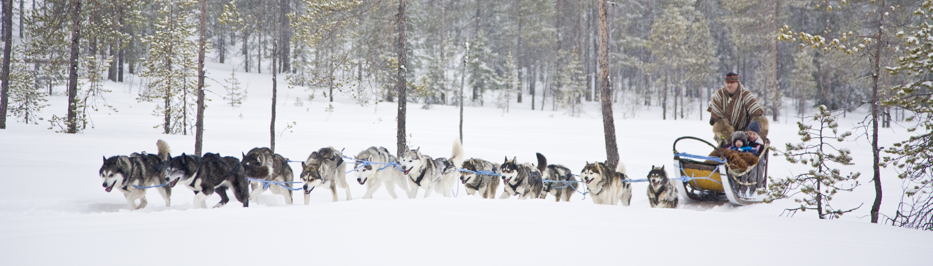 Arctic TreeHouse Stay in Finland  