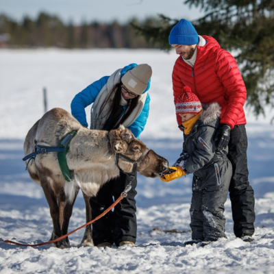 Christmas Without the Crowds