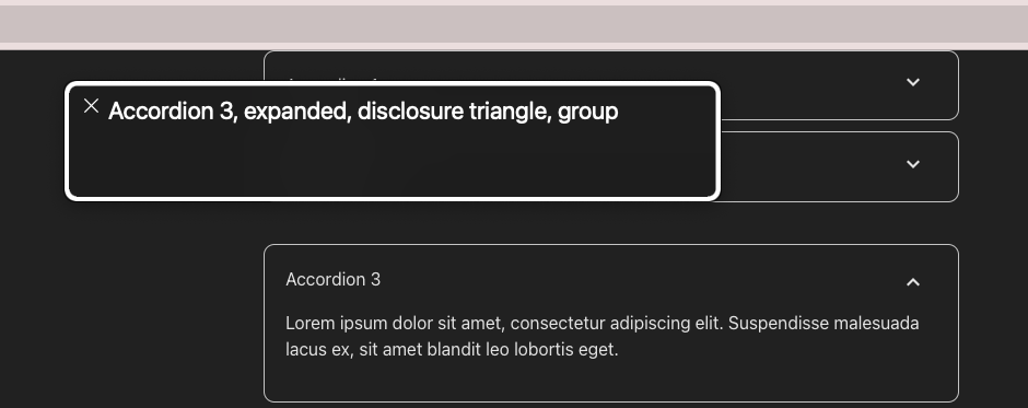 Immagine del lettore di schermo VoiceOver che annuncia: Fisarmonica 3, espanso, gruppo