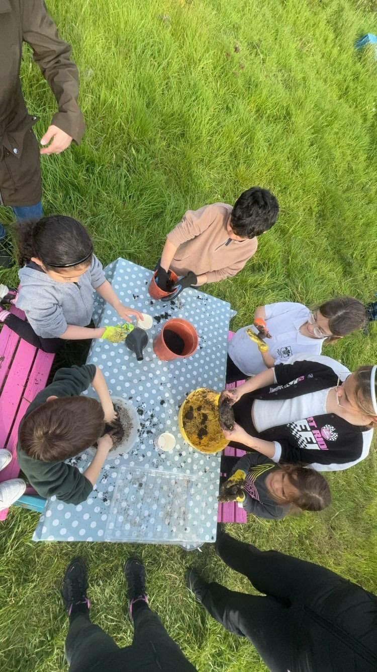 Our Values in Action