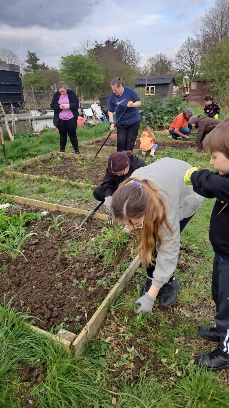 Our Programs and Impact