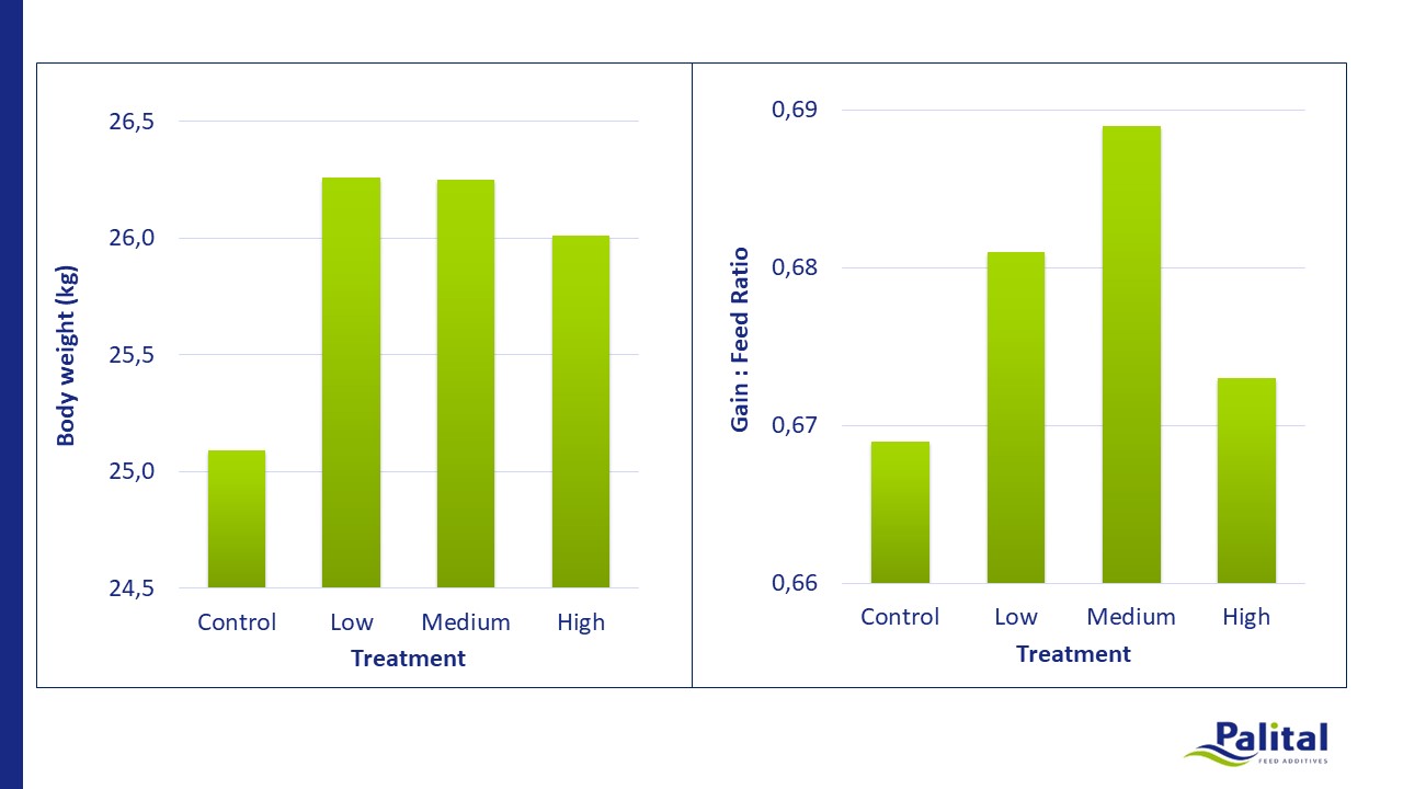 Intest-Plus® significantly increased final bodyweight and the gain : feed ratio even at low doses (Figure 1)