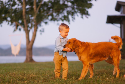 Boy Petting a Dog 