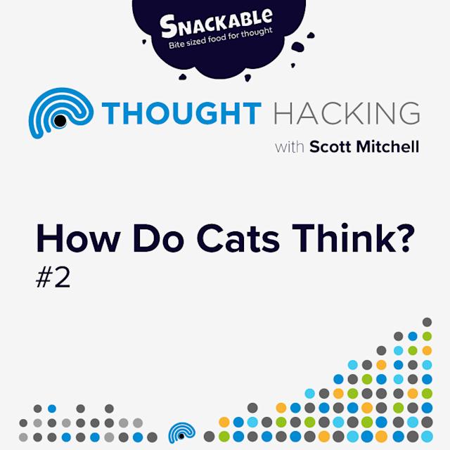 Cover Image for How do Cats Think? #2