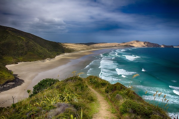 new-zealand-beach