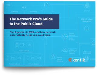 Network Pro's Guide to the Public Cloud