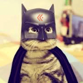 Bat_cat-300w.png