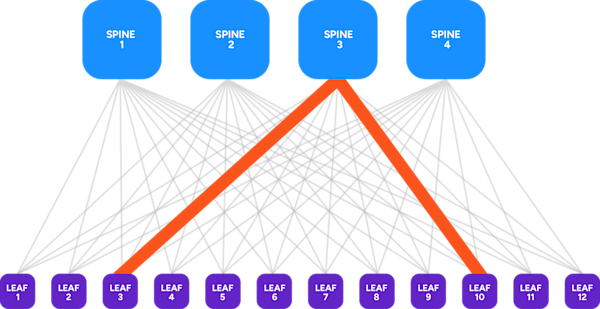 Spine leaf diagram with elephant flow