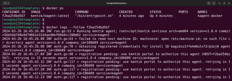 See an output of a Docker container