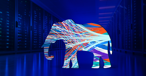elephant-flow